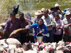 Señalada de Carnaval